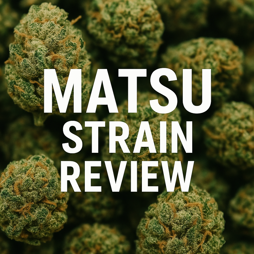 Comprehensive Matsu Strain Review: Effects, Benefits, and More