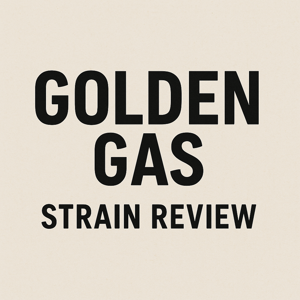 Golden Gas Strain Review: Discover the Perfect Balance of Flavor and Effects