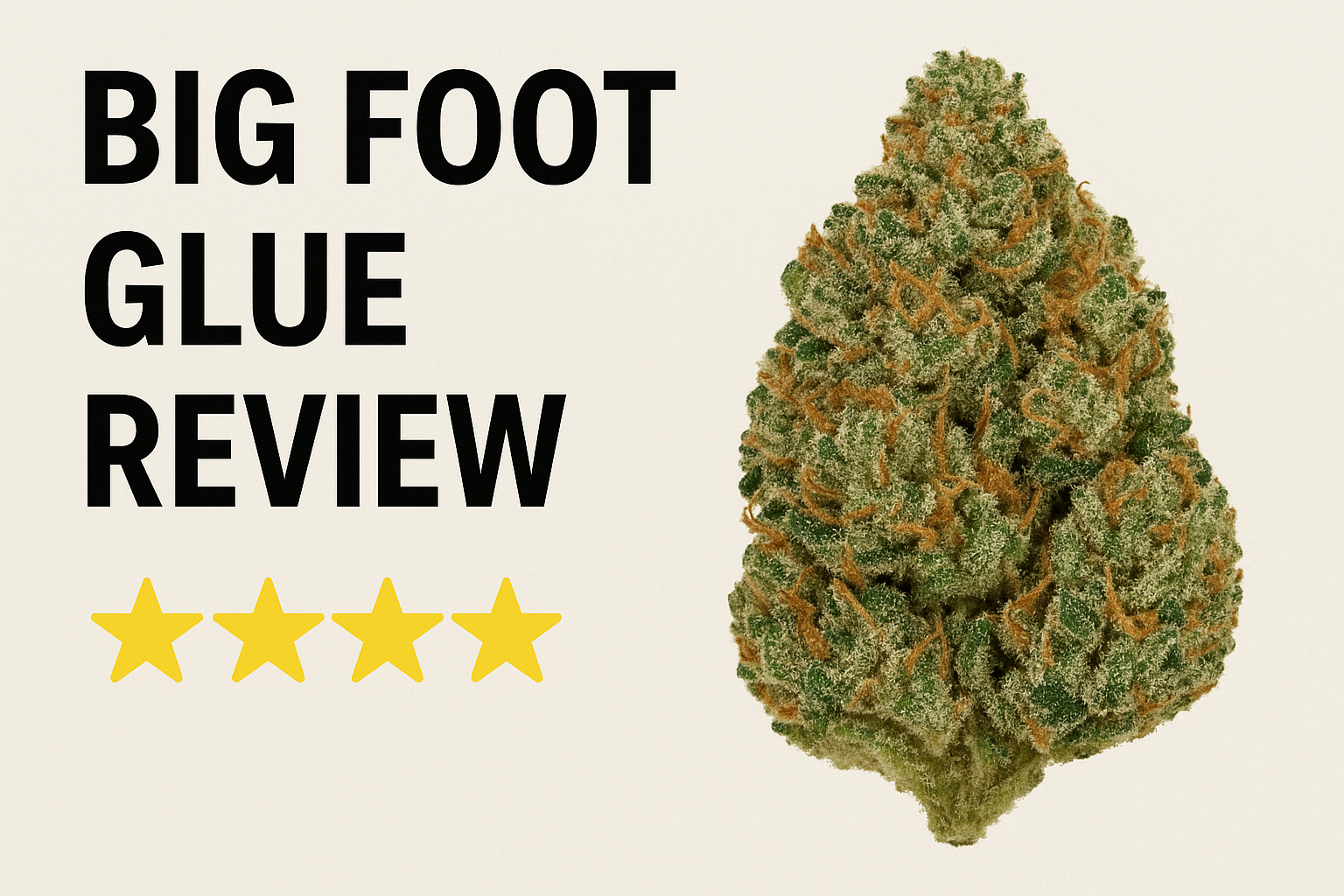Big Foot Glue Strain Review: Uncovering the Mystery of This Potent Hybrid