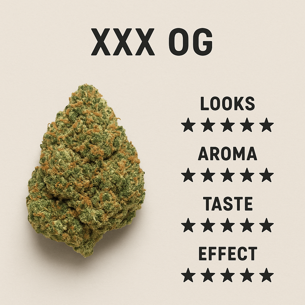 XXX OG Strain Review: Uncovering the Potency and Flavor Profile