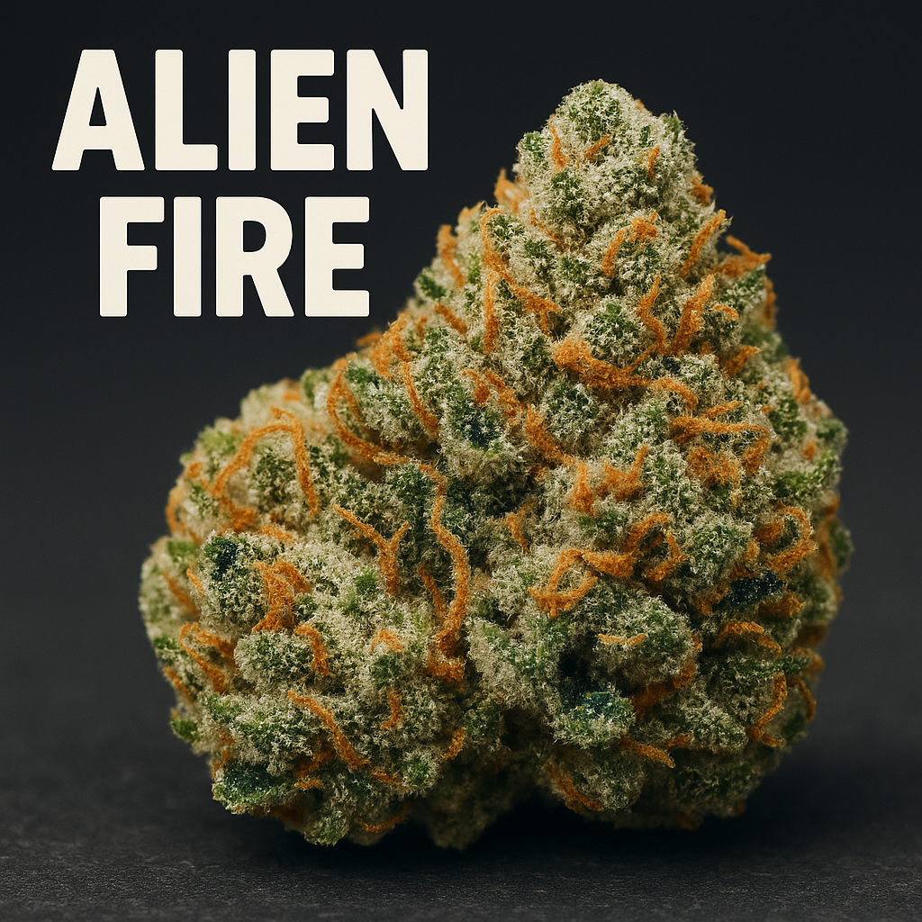 Alien Fire Strain Review: An In-Depth Look at Its Unique Qualities