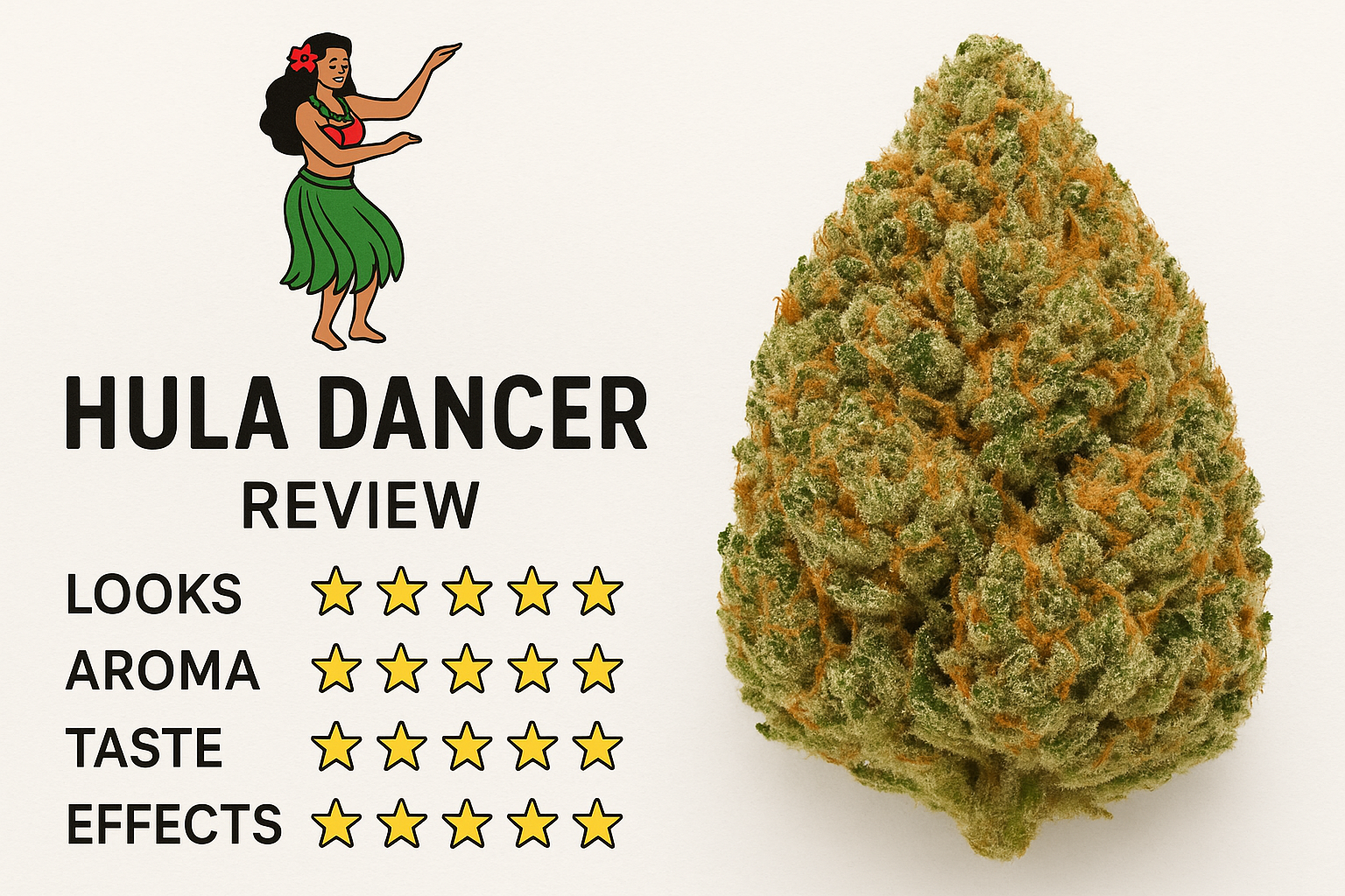 Hula Dancer Strain Review: A Comprehensive Guide to Flavor and Effects