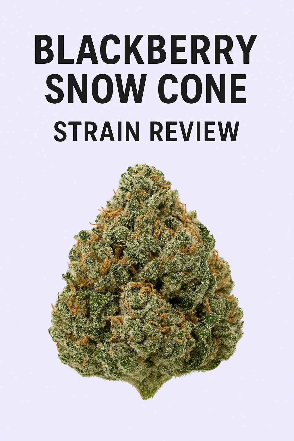A Comprehensive Review of Blackberry Snow Cone Strain: Flavorful Delight in Every Puff