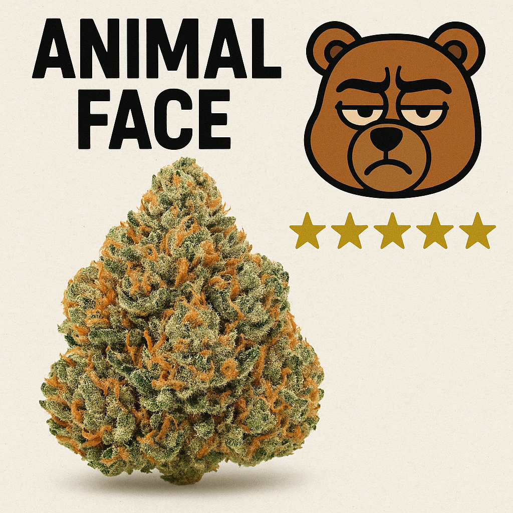 Animal Face Strain Review: Exploring Its Unique Flavor and Effects