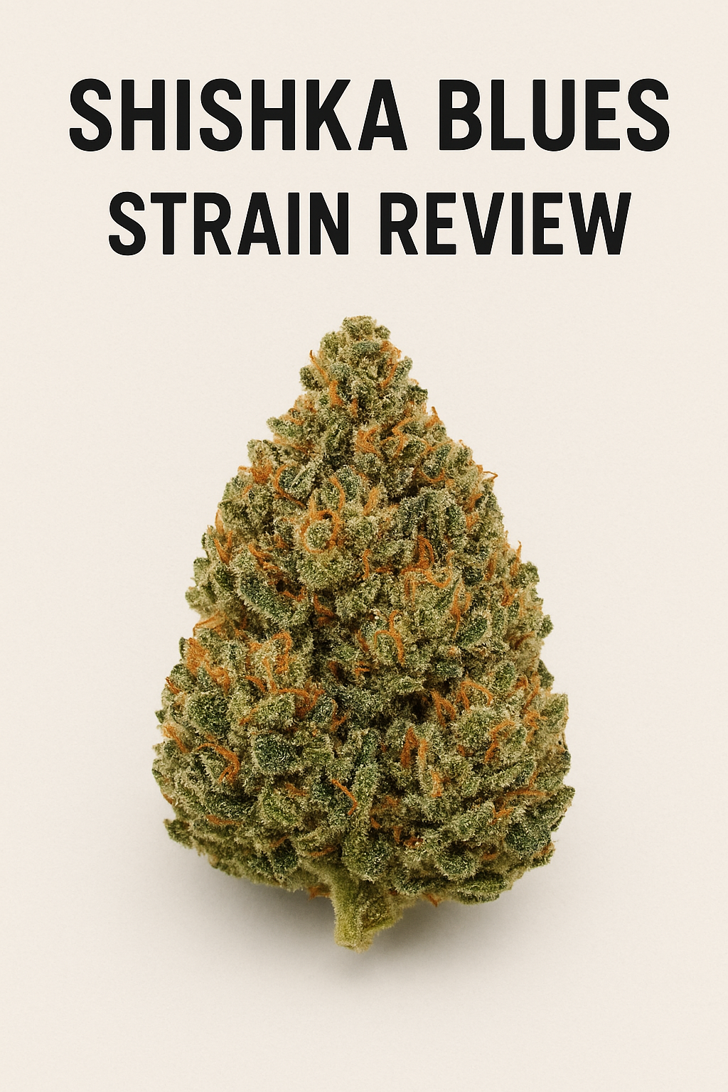 Shishka Blues Strain Review: Uncovering the Unique Flavors and Effects