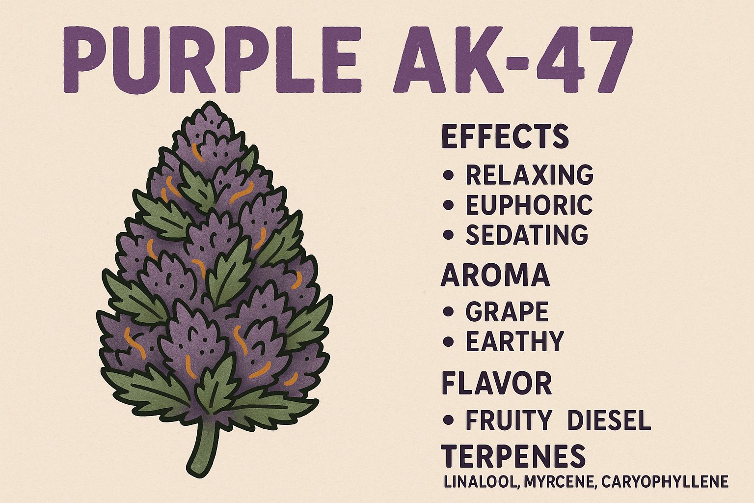 In-Depth Purple AK-47 Strain Review: Effects, Benefits, and Cultivation Tips